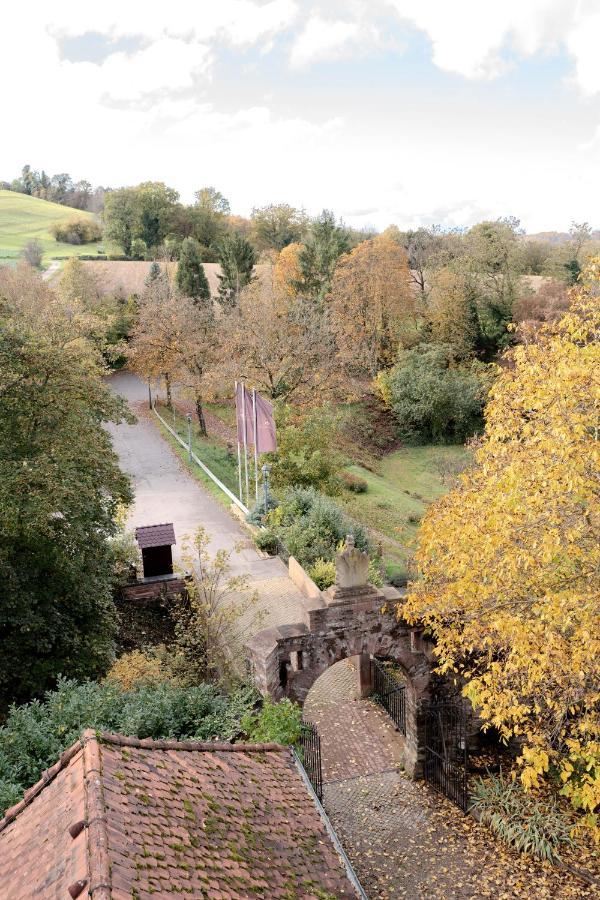 Eventlocation & Hotel Schloss Neuburg Obrigheim 외부 사진