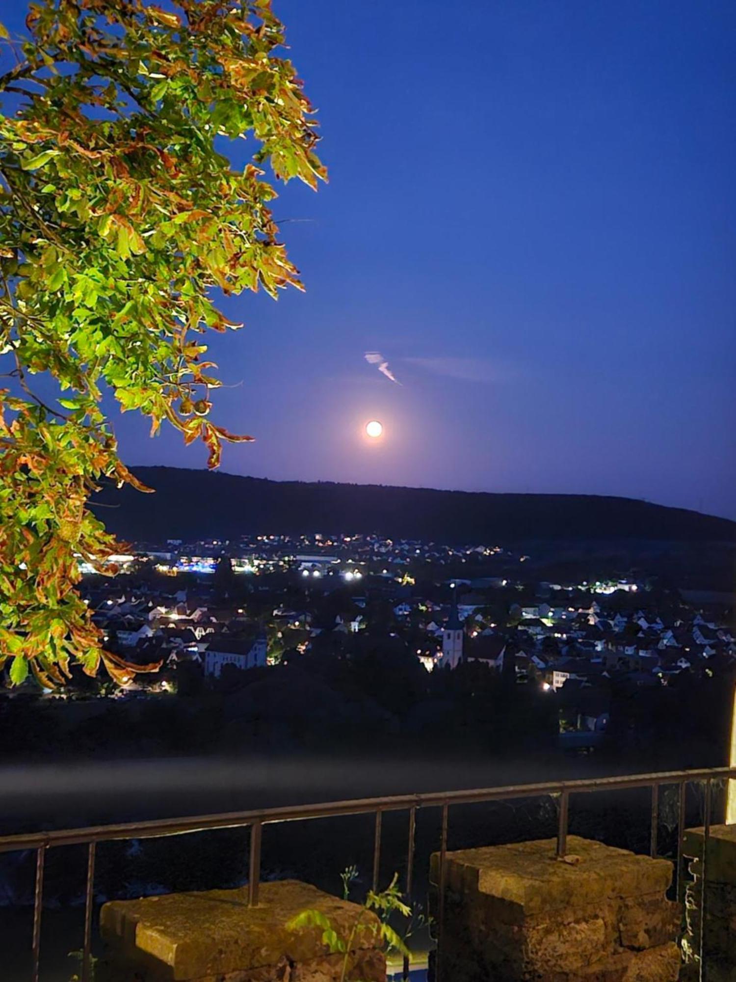 Eventlocation & Hotel Schloss Neuburg Obrigheim 외부 사진